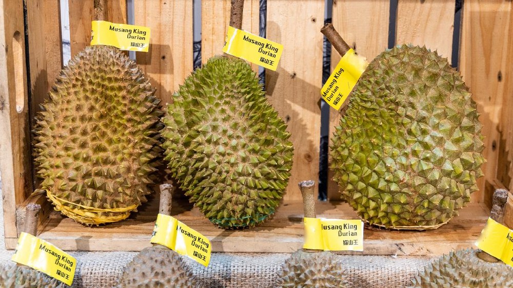 Durian Ilegal Serbu RI! Petani Lokal Menjerit, Ada Apa?
