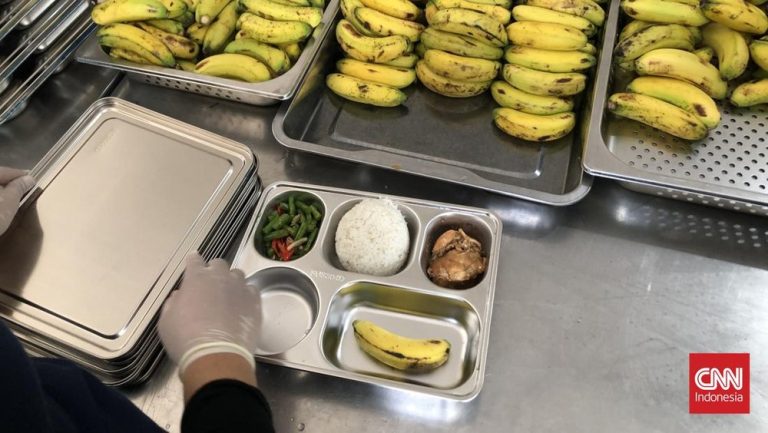 Gizi Badui Terancam? BGN Usul Program Makan Gratis!