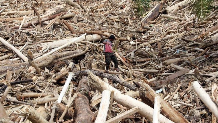Batang Toru Rusak Parah! Siapa yang Harus Bertanggung Jawab?