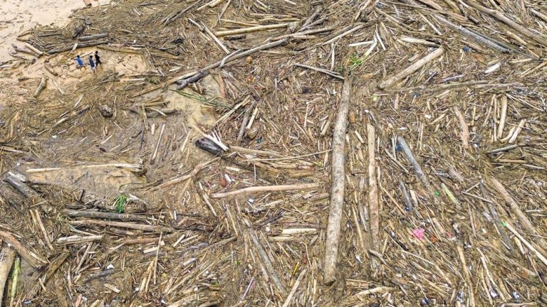 Sumut Krisis Hutan! Walhi Ungkap Fakta Satelit, Bobby Kena Sindir?