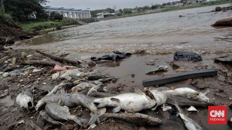 Skandal Narkoba Polisi & Cisadane Merana: Sorotan Tajam!