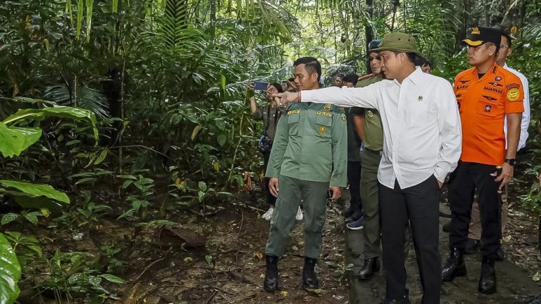 Terkuak! Kearifan Lokal Kunci Selamatkan Lahan Basah Kita?