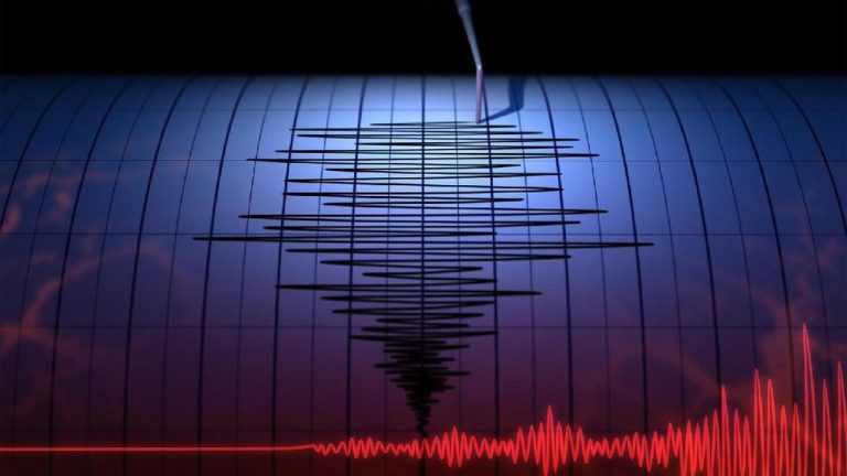 Geger Flores Timur! Gempa M 4.7 Hantam, Puluhan Warga Terluka