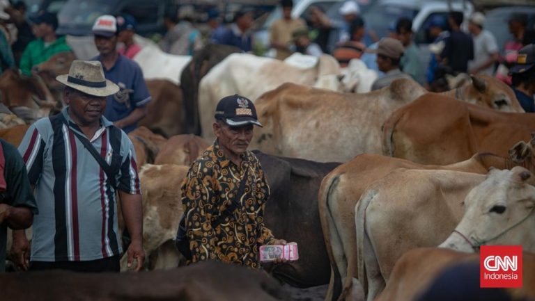 FIX! Idul Adha 2026 Diputuskan Kemenag Hari Ini, Catat Tanggalnya!