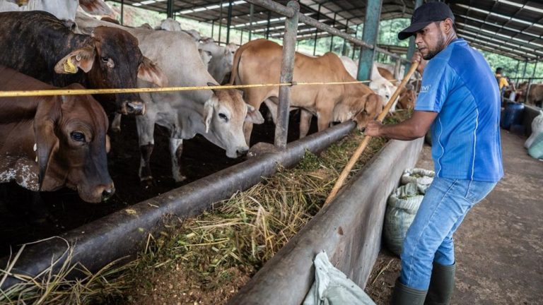 Mantan Bos Kebun Binatang Surabaya Tilep Rp10 M