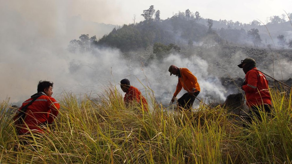Tambora Terbakar Hebat Ribuan Hektare Ludes