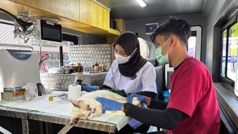 Jakarta Punya Klinik Hewan Keliling Canggih dan Terjangkau Jakarta Punya Klinik Hewan Keliling Canggih dan Terjangkau