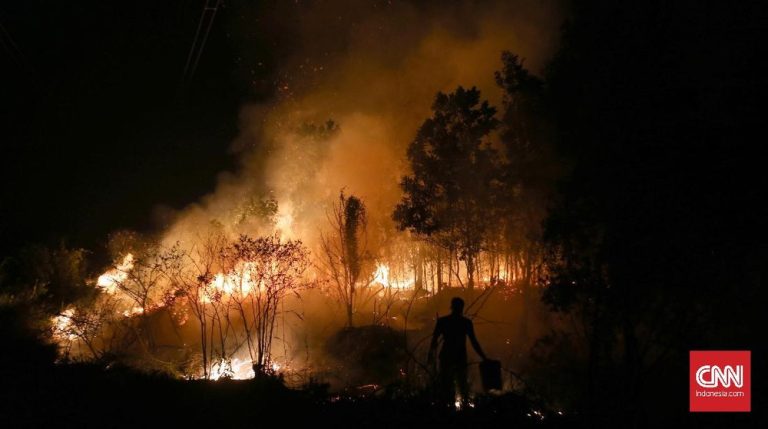Misteri Kebakaran Hutan Sumsel Kemenhut Bertindak Misteri Kebakaran Hutan Sumsel Kemenhut Bertindak