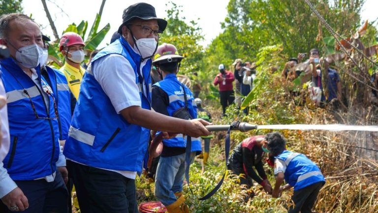 Menteri Lingkungan Hidup Bongkar Karhutla Kalsel