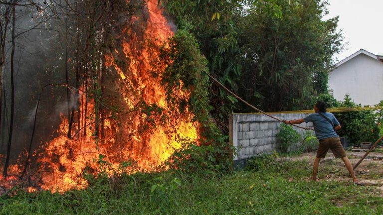Hotspot Kalbar Meledak BNPB Ungkap Fakta Mengejutkan