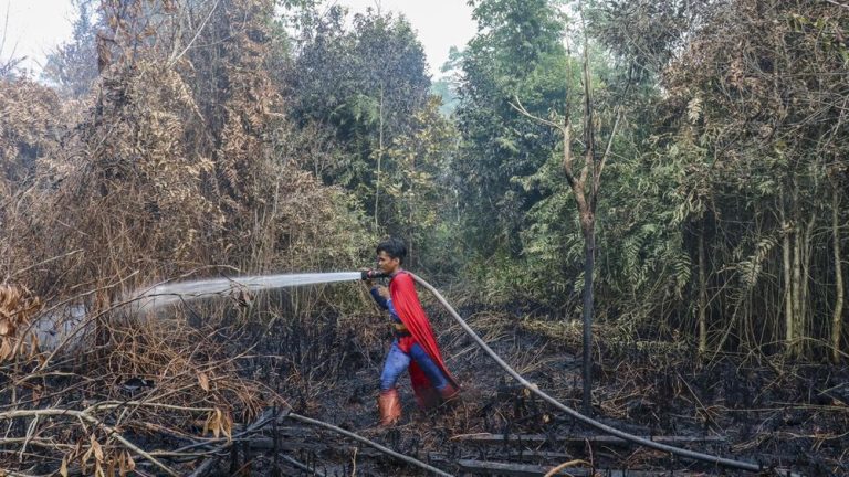 Remaja Superman Lawan Api Hutan Bikin Kagum