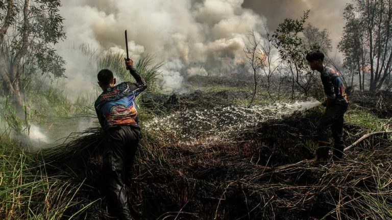 Kalteng Darurat Asap Ribuan Titik Api Membara