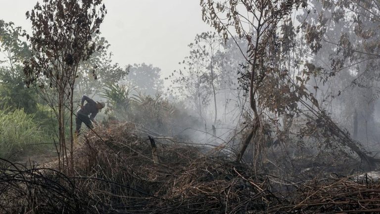 Kalsel Mencekam Ribuan Hektare Lahan Ludes Terbakar