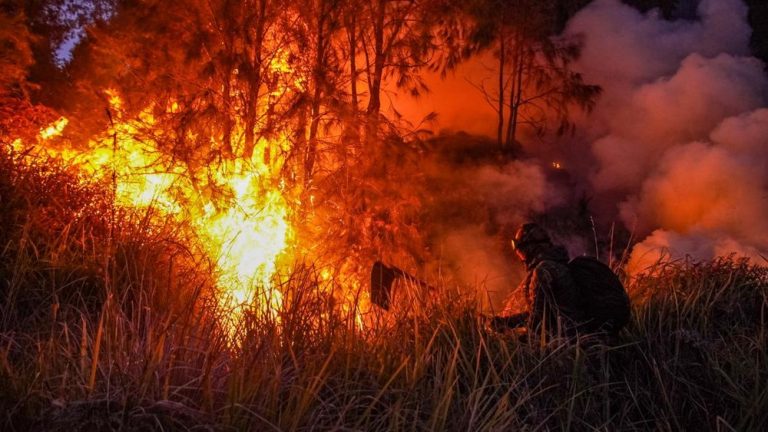 Bromo Membara Wagub Jatim Ungkap Fakta Mengejutkan Bromo Membara Wagub Jatim Ungkap Fakta Mengejutkan
