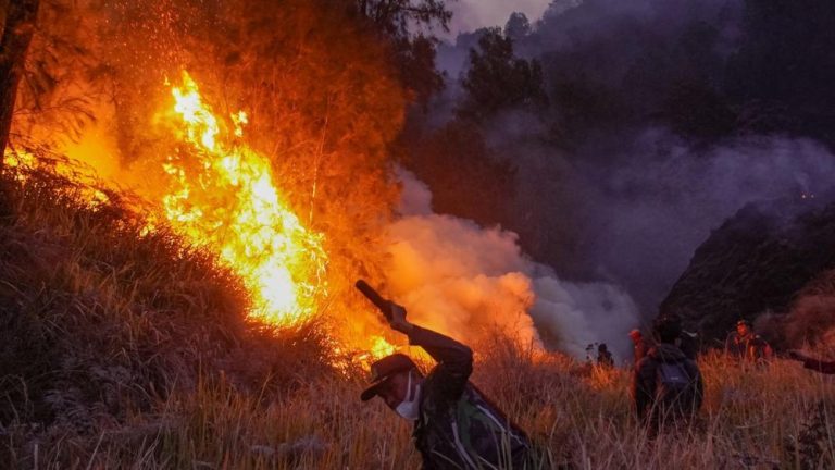 Bromo Terbakar Hebat Ratusan Hektare Ludes