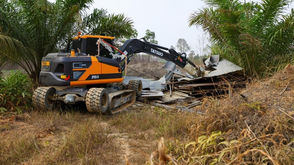Rahasia Kelam Perambahan Hutan IKN Terbongkar