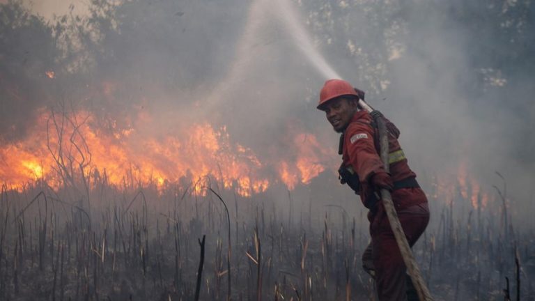 Terungkap Data Mengerikan Karhutla 6 Provinsi Sumsel Nomor Satu Terungkap Data Mengerikan Karhutla 6 Provinsi Sumsel Nomor Satu