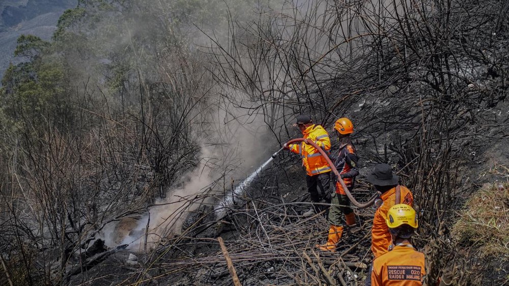 Api Mengganas di Jatim Ribuan Hektare Lahan Hangus