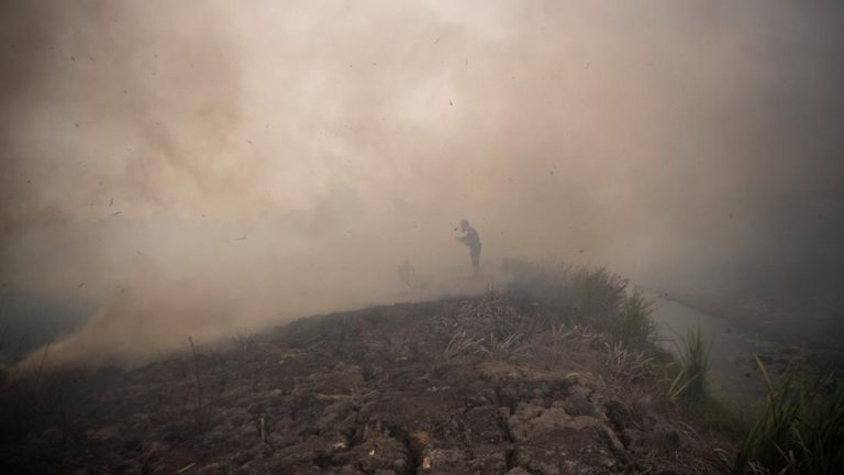 Karhutla Mencekam Ratusan Hektare Masih Membara Karhutla Mencekam Ratusan Hektare Masih Membara