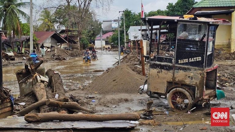 Aceh Terkepung Banjir dan Petani Menangis