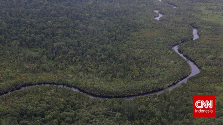 Lawan Api di Tanjung Puting Fokus 4 Titik Utama Lawan Api di Tanjung Puting Fokus 4 Titik Utama