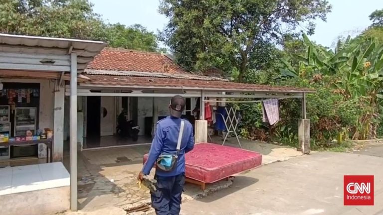 Mencekam Bocah Bekasi Diterkam Monyet Liar Mencekam Bocah Bekasi Diterkam Monyet Liar