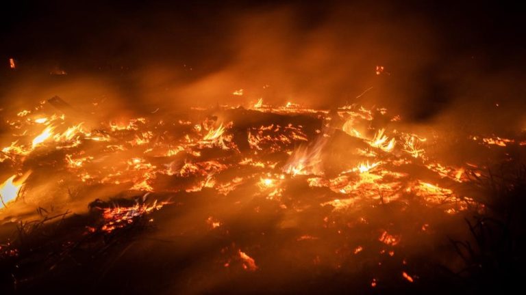 Skandal Karhutla Kalsel Libatkan Pihak Asing Skandal Karhutla Kalsel Libatkan Pihak Asing