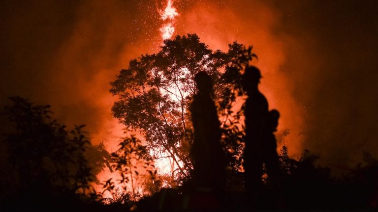 Api Melahap Hutan Jambi Makin Luas