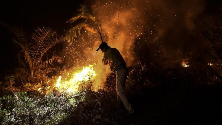 Prabowo Kucurkan Rp125 Miliar Atasi Karhutla Jambi
