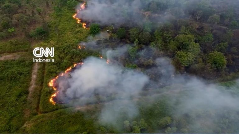 Palembang Tercekik Asap ISPA Melonjak Drastis